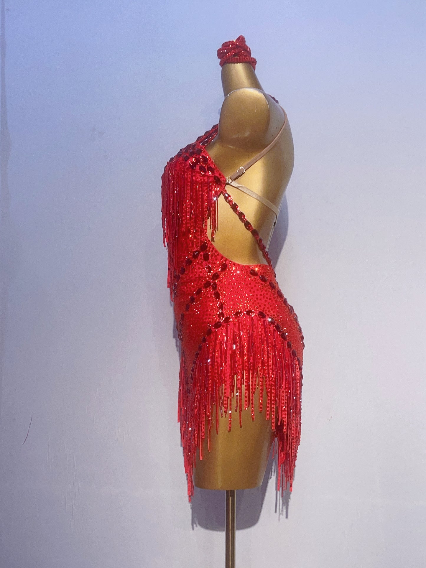 L05 Custom Made Latin Dress many colours to choose